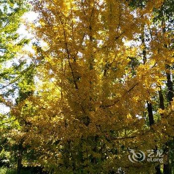 和顺古镇山水居客栈酒店提供图片