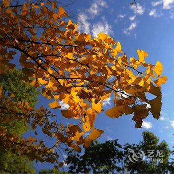 和顺古镇山水居客栈酒店提供图片