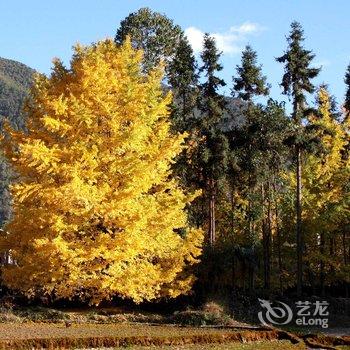 和顺古镇山水居客栈酒店提供图片