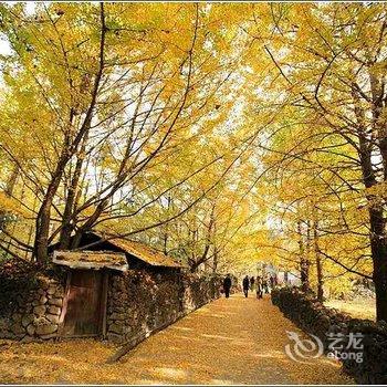 和顺古镇山水居客栈酒店提供图片