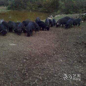 和顺古镇山水居客栈酒店提供图片