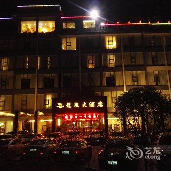 雅安龙泉大酒店酒店提供图片