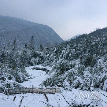 德清后坞村墨竹山庄酒店提供图片