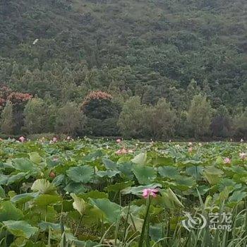 盘县古银杏客栈酒店提供图片