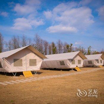 牛路野营度假村(上海海湾国家森林公园店)酒店提供图片