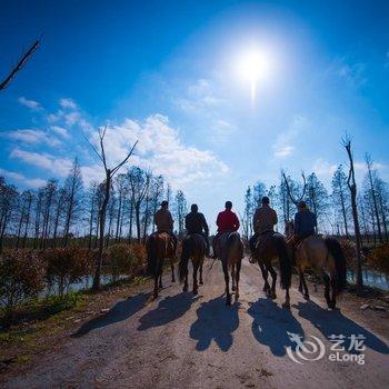 牛路野营度假村(上海海湾国家森林公园店)酒店提供图片