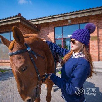 牛路野营度假村(上海海湾国家森林公园店)酒店提供图片
