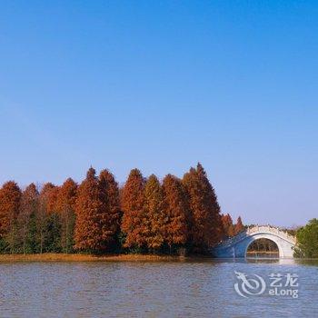 牛路野营度假村(上海海湾国家森林公园店)酒店提供图片