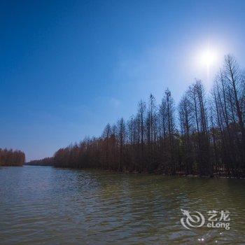 牛路野营度假村(上海海湾国家森林公园店)酒店提供图片