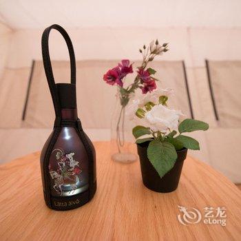 牛路野营度假村(上海海湾国家森林公园店)酒店提供图片