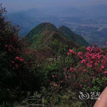 泾县丁家湾静水闲居假日酒店酒店提供图片