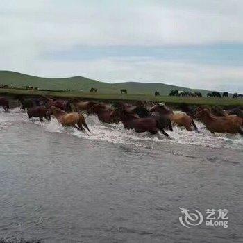 额尔古纳恩和嘎列旅游之家酒店提供图片