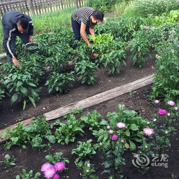 额尔古纳恩和嘎列旅游之家酒店提供图片