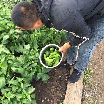 额尔古纳恩和嘎列旅游之家酒店提供图片