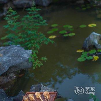 阳朔璞闲居采茶山庄酒店提供图片