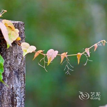 福州青云山御温泉酒店酒店提供图片