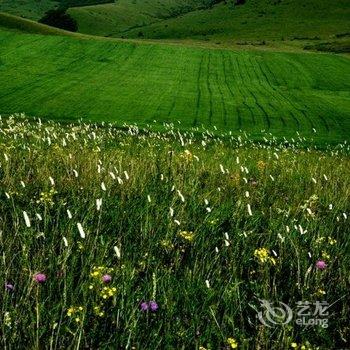 丰宁坝上草原龙霞庄园酒店提供图片