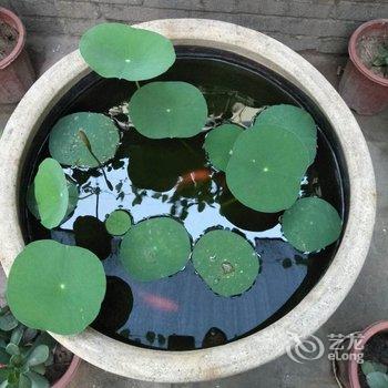 平遥武家旅店酒店提供图片