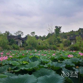 杭州天域开元观堂酒店提供图片