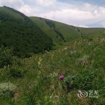 丰宁涛涛农家院酒店提供图片