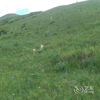 丰宁涛涛农家院酒店提供图片