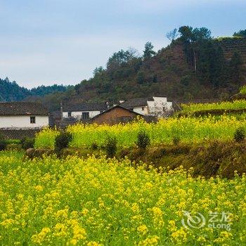 婺源土墙部落野奢民宿酒店提供图片