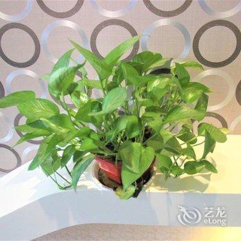 西安南门亚米酒店公寓酒店提供图片