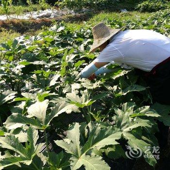 广德天堂山度假山庄酒店提供图片