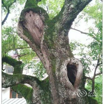 九华山小桥流水酒店酒店提供图片