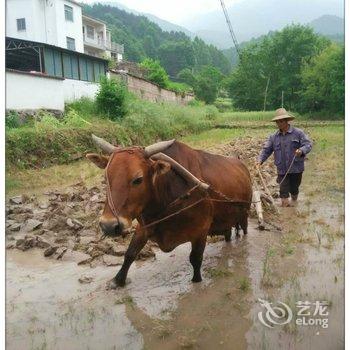 九华山小桥流水酒店酒店提供图片