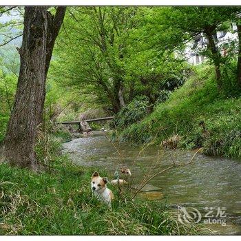 九华山小桥流水酒店酒店提供图片