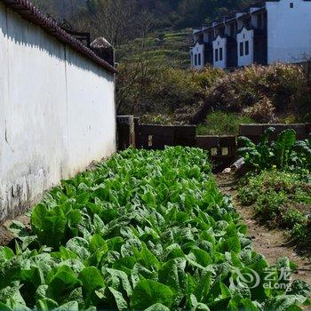 九华山小桥流水酒店酒店提供图片