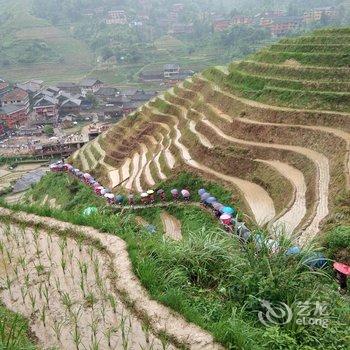 桂林千层梯田客栈酒店提供图片