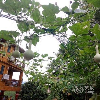 桂林千层梯田客栈酒店提供图片