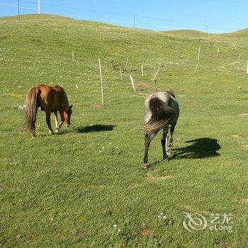 共和蓝天帐篷宾馆酒店提供图片