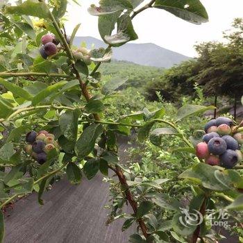 长兴我行我宿精品民宿酒店提供图片