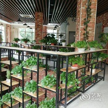 重庆市舒巴酒店酒店提供图片