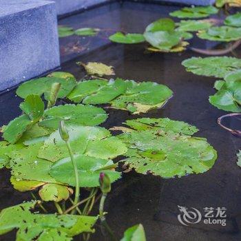 武夷山南舍民墅(原南舍家庭旅馆)酒店提供图片