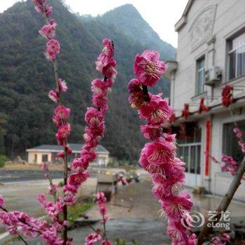 磐安县山水人家酒店提供图片