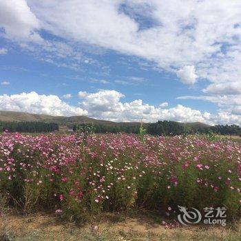 张北天牧人家酒店提供图片