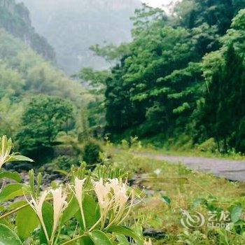 雁荡山江雁宾馆酒店提供图片