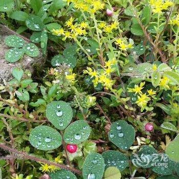 雁荡山江雁宾馆酒店提供图片