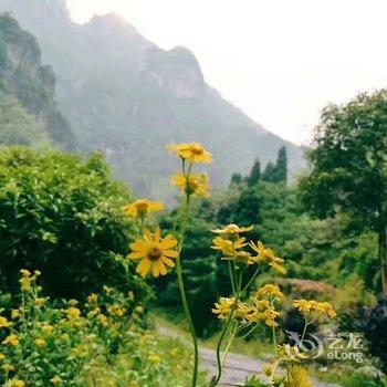 雁荡山江雁宾馆酒店提供图片