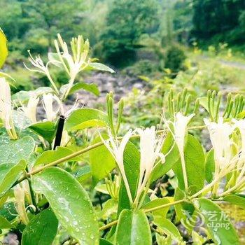 雁荡山江雁宾馆酒店提供图片