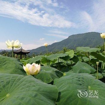 洪雅雅女荷园酒店提供图片