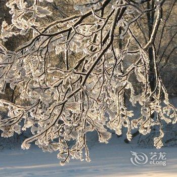 哈尔滨龙江雪谷高升客栈二店酒店提供图片