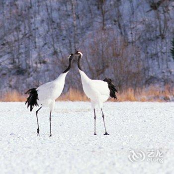 哈尔滨龙江雪谷高升客栈二店酒店提供图片