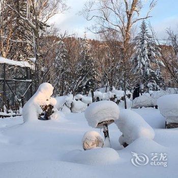 雪乡万客来客栈酒店提供图片