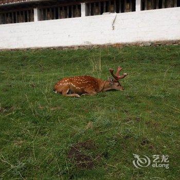 若尔盖建哥商务宾馆酒店提供图片