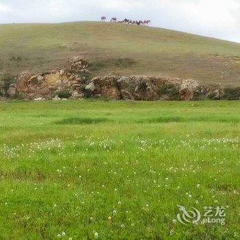 克什克腾旗干诺敏杭盖牧人家住宿酒店提供图片